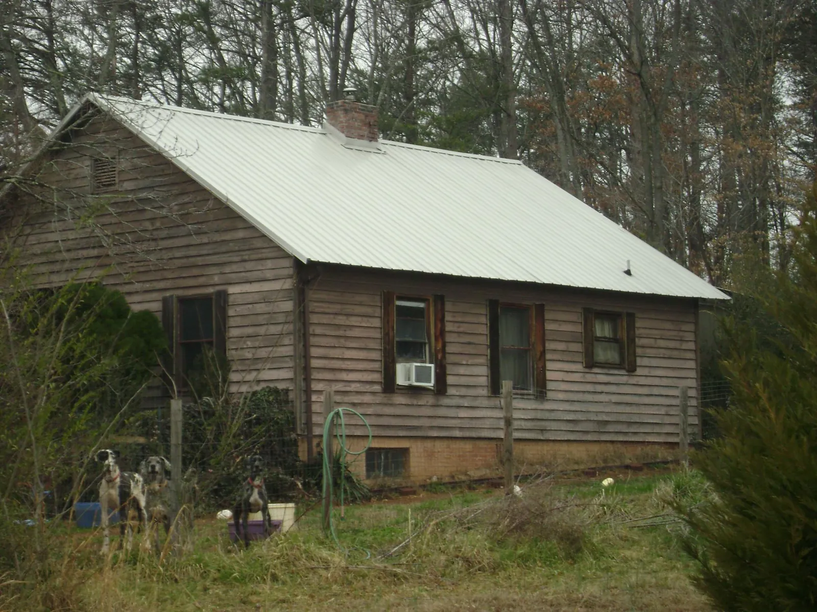 White metal roof on an old wood sided farmhouse, from a Asphalt Shingle Roof Repair job in Syria